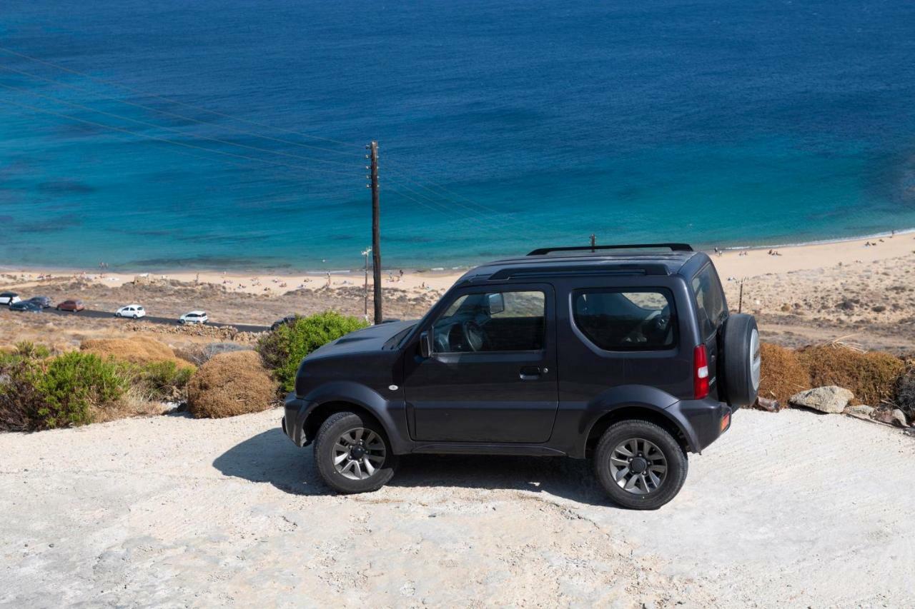 Siourdas Mykonos Villas Agios Sostis  外观 照片